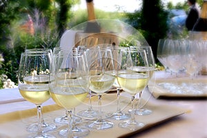 Glasses of prosecco wine photo