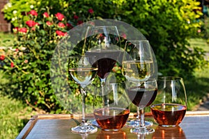 A glasses of red,rose and white wine against outdoor garden background