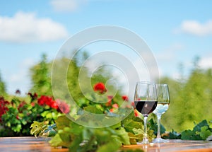Glasses of red and white wine outdoors