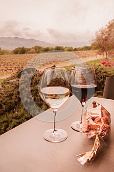 Glasses of red and white wine overlooking vineyard