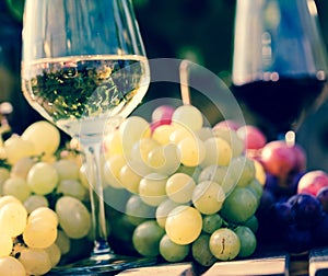 Glasses of red and white wine and ripe grapes on table in vineyard