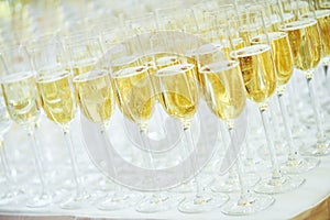 Glasses with sparkling wine in row