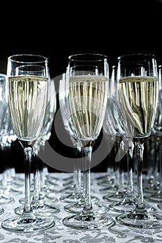 Glasses of sparkling wine stand in a row