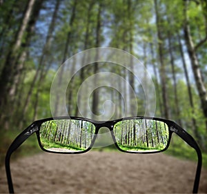 Glasses, vision concept, forest