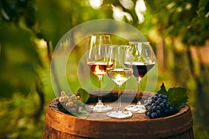 Glasses of white, pink and red wine on an old wooden barrel