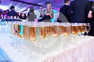 Glasses with white sparkling wine in row at restaurant event