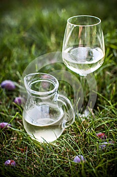 Glasses of white wine