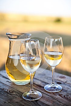 Glasses of white wine