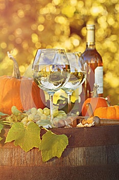 Glasses of white wine with pumpkins on barrel