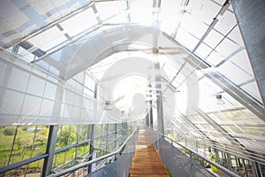 Glasshouse with active sprinklers