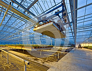 Glasshouse automation