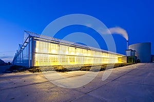 Glasshouse at dusk