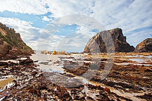 Glasshouse Rocks Beach in Narooma Australia