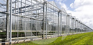 Greenhouses at Maasdijk in Westland