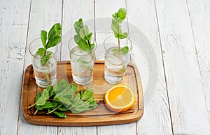 Glassware with refreshing citrus fruits cocktail on white wooden background.