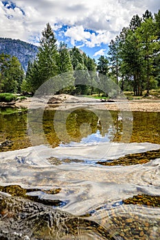 Glassy water in the foreground with tall trees and white clouds looking over the Merced River in Yosemite National Park