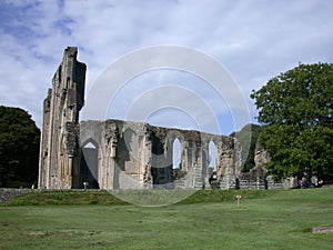 Glastonbury Abbey Somerset photo
