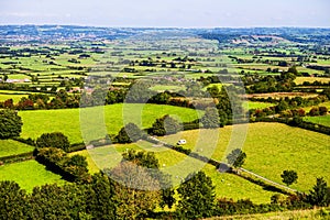 Glastonbury fields