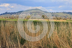 Glastonbury Tor From The Banks Of The River Brue, Somerset, England.
