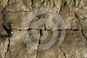 Glay dirty background