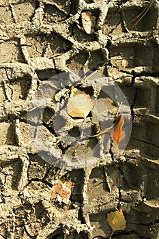 Glay dirty background