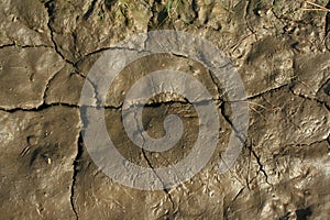 Glay dirty background