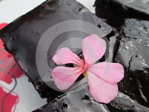 A Glazed Batch Of Chocolate Brownies.