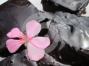 A Glazed Batch Of Chocolate Brownies.