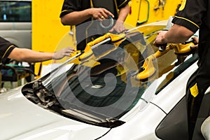 Glazier is repairing windshield of the car