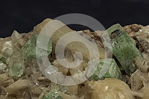 Gleaming apophyllite crystals rise amidst the warm glow of stilbite, creating a miniature landscape of mineralogical wonder photo