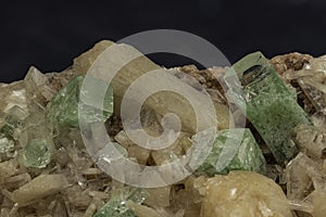 Gleaming apophyllite crystals rise amidst the warm glow of stilbite, creating a miniature landscape of mineralogical wonder