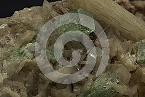 Gleaming apophyllite crystals rise amidst the warm glow of stilbite, creating a miniature landscape of mineralogical wonder