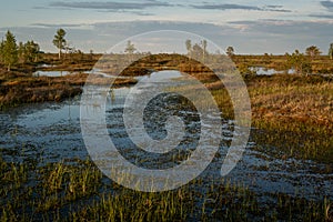 Gleams of water amid the landscape of a high bog