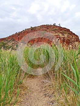 The Glen Helen gorge in the Mcdonnell ranges