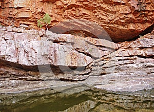 The Glen Helen, gorge in the Mcdonnell ranges