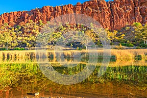 Glen Helen Gorge reflect