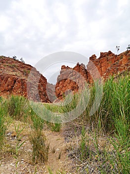 The Glen Helen gorge