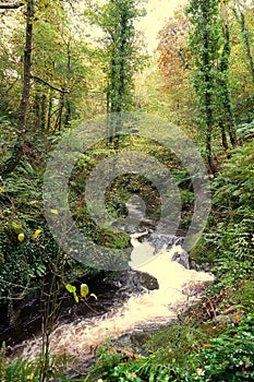 Glen Maye river on Isle of Man