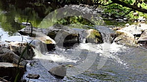 Glenarm River flowing Forest Antrim Northern Ireland 