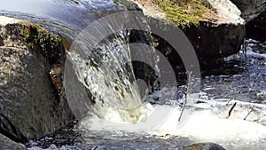 Glenarm River flowing Forest Antrim Northern Ireland