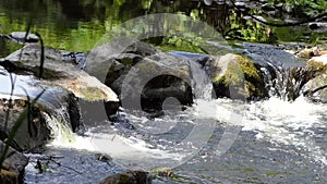 Glenarm River flowing Forest Antrim Northern Ireland