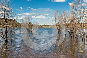 Glenbawn Dam, Upper Hunter, NSW, Australia