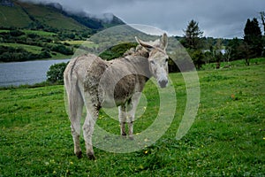 Glencar Lough - County Dongegal - Ireland