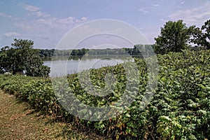Glendalough State Park is located by Battle Lake and Ottertail Lake, Minnesota photo