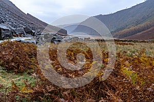 Glendalough Upper lake from miners way, Glenealo valley, Wicklow way, County Wicklow, Ireland.