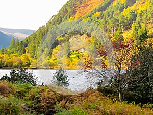 Glendalough Valley, Wicklow Mountains National Park, Ireland