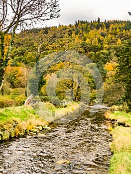 Glendalough Valley, Wicklow Mountains National Park, Ireland