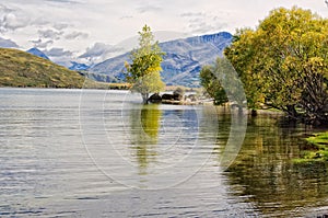 Glendhu Bay - Wanaka