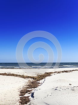 Glenelg Beach with seaweed dry sand
