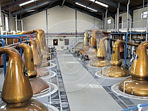 Glenfiddich whisky distillery stills